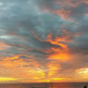 Meet your Posher, Neal